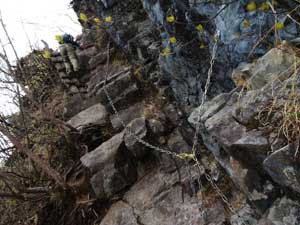 �N�T�����T�d�ɉ���`