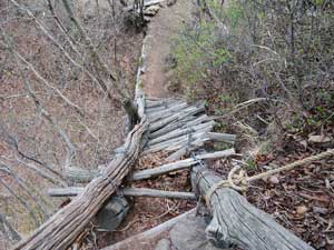 �Â��n�V�S