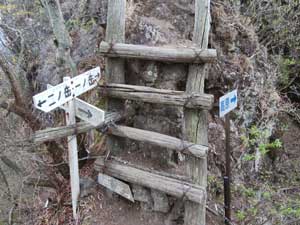 ���̕���