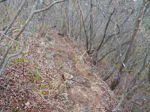 �R������̓o�R���B