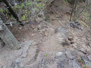 ���򂩂�̓o�R��