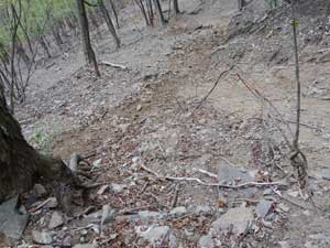 �����̍���������������