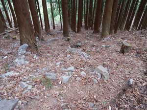 ���т̒��̓o�R���B