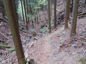 ���т̒��̓o�R���B