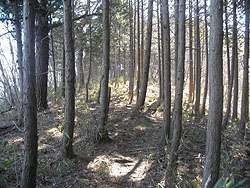 ��������i��