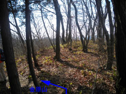 ���J�������邢�ꏊ