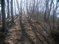 �����R �R���ւ̍Ō�̓o��