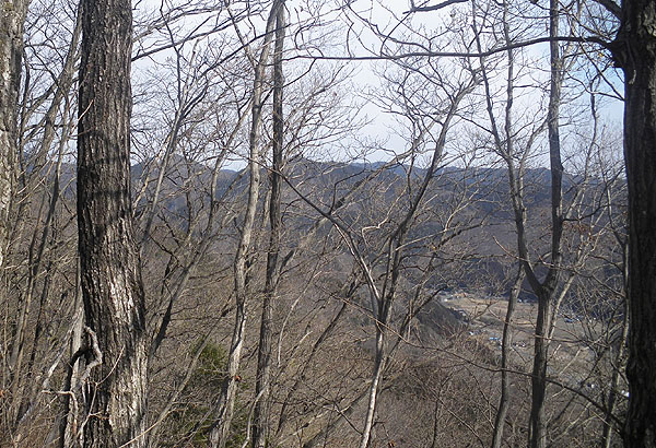 山頂からの眺め