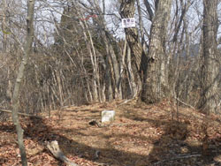 �����R �R��