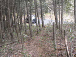 �Ԃ������Ă����B