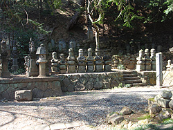 �{������