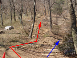 ���������̓�