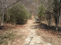 ����������