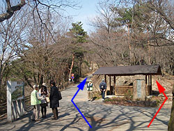 �{�����e�B�A�H�̈ē�