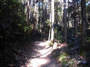 �ƂĂ������Ղ��`�`