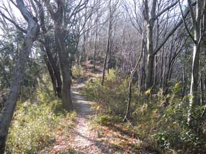 ���邢���R��