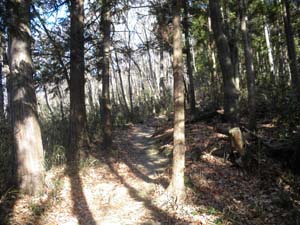 ���򂩂�̓o�R���B