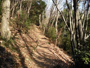 ���������g���ȓo�R��