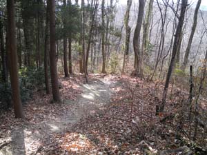 �K�i�ȊO�͋}�Ȍ��͂Ȃ�