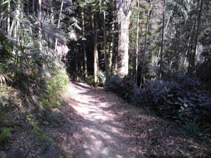 �|�Y�H�[����̓o�R���B