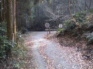 �o�R���������Ă����`