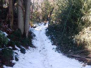 �o�R������̓o�R���B