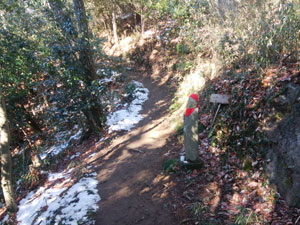 �o�R������̓o�R���B