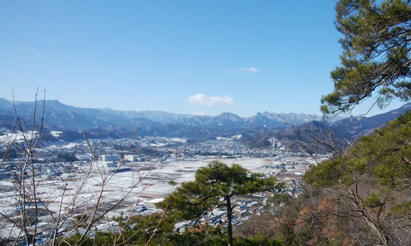 �_���R�R������̒���