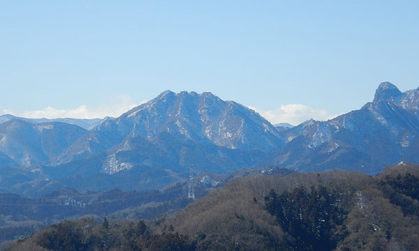 �_���R�R������̒���