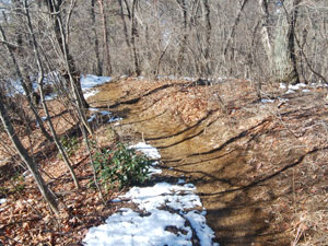 5�Ԗڂ̃s�[�N�̂���̓o�R���B