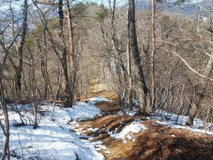 5�Ԗڂ̃s�[�N�̂���̓o�R���B