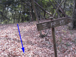 ���o���̂���ꏊ