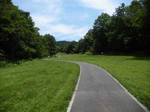 �X�L�[��̃Q�����f