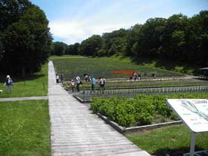 ���t�g����̓�