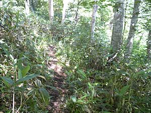 ���ётɓ������B