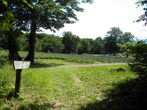 �J�����ꏊ