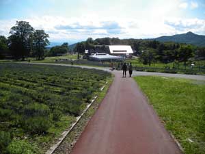 �����i�񂾁`�`