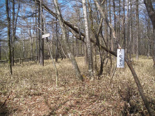 �����q�R