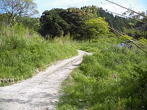 ��������i�񂾁B