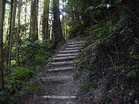 �o�R���̗l�q�B