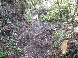 ���r��C���H