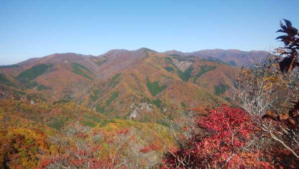 �}�ێR�R������̒���