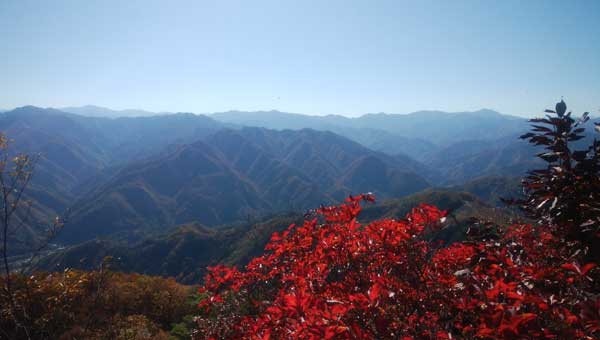 �}�ێR�R������̒���