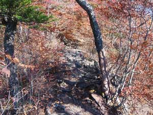 �����ڂ̔�����i��