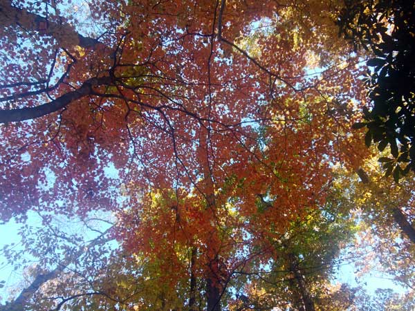 �g�t�� �܂��܂��`���ꂢ