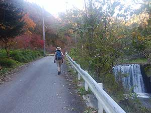 �ѓ���i�ށ`�`