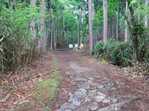 �o�R������̓o�R���B