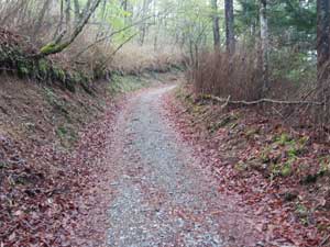 ���u�򓻂���̗ѓ�