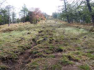 �Q�����f�H��i��