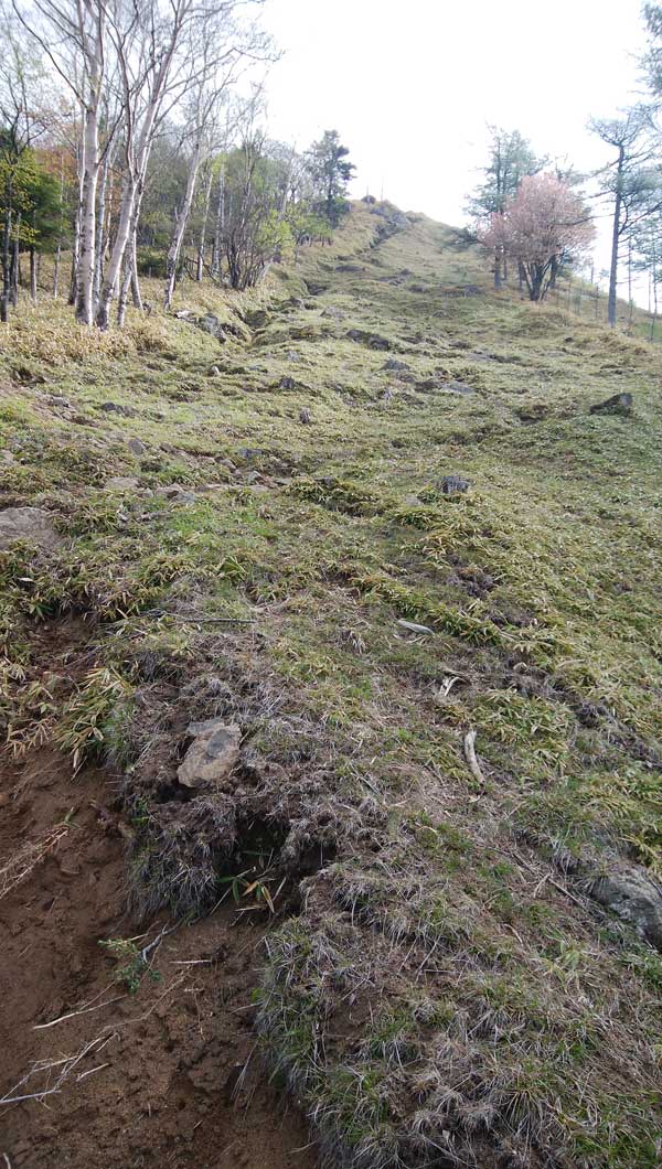 �R���� ���������`�`�H